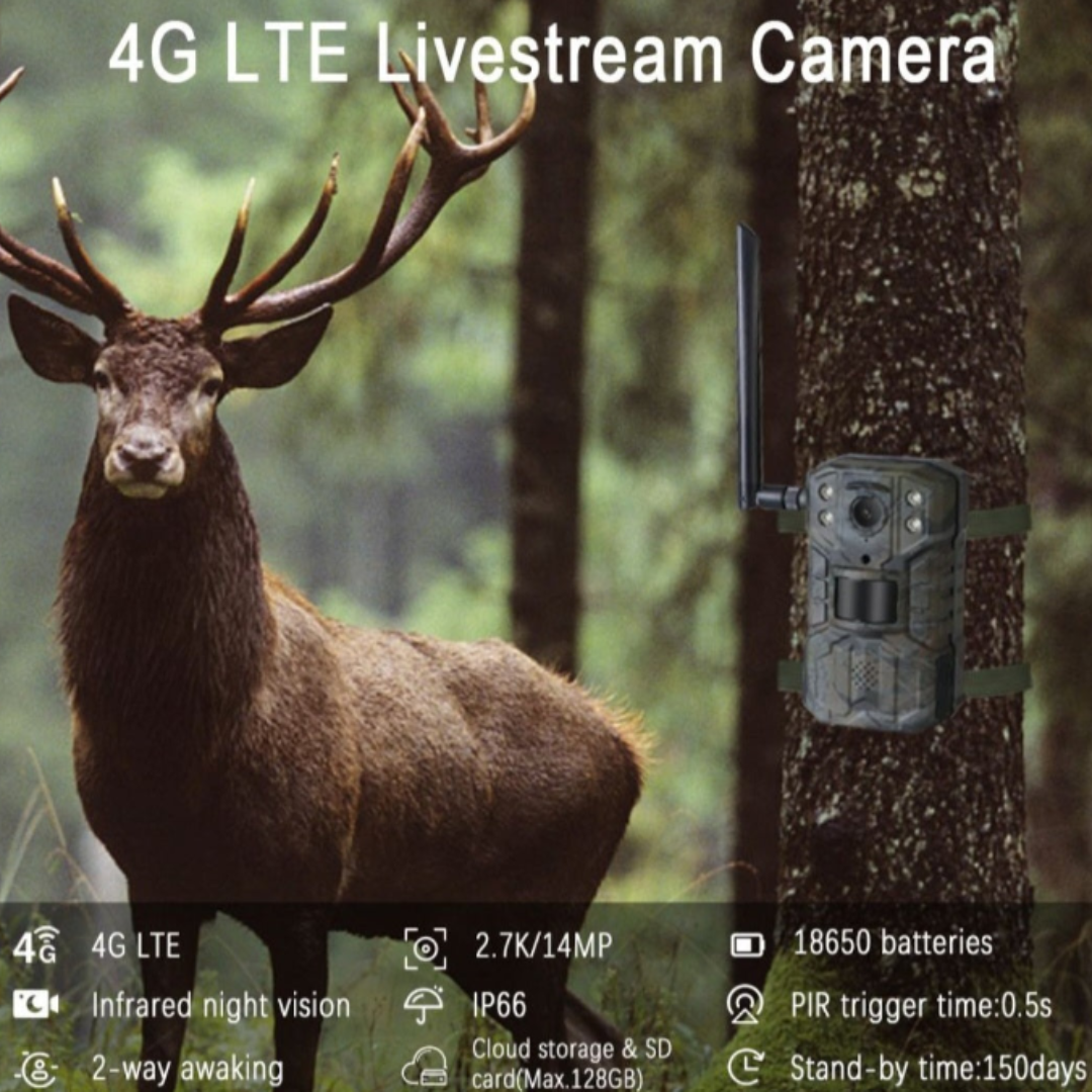 4G No Glow Solar Trail Camera (With Sim & Memory Card) - Image 2