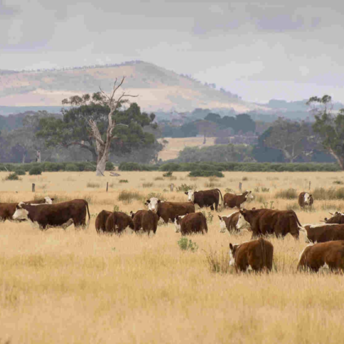 Farming Equipment