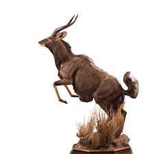 Trophy Room products